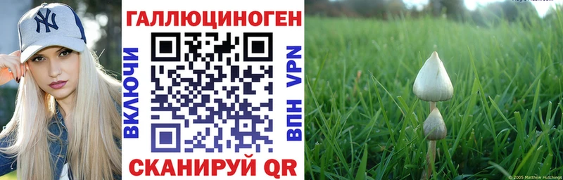 mega   Снежногорск  Псилоцибиновые грибы GOLDEN TEACHER 
